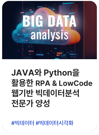 JAVA와 Python을 활용한 PRA & LowCode 웹기반 빅데이터분석 전문가 양성