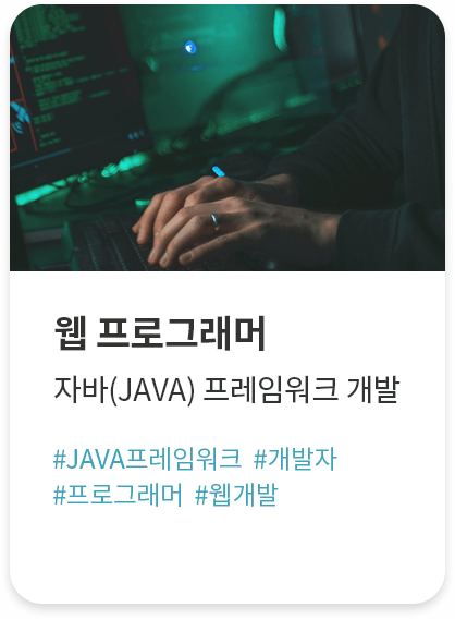 웹 프로그래머