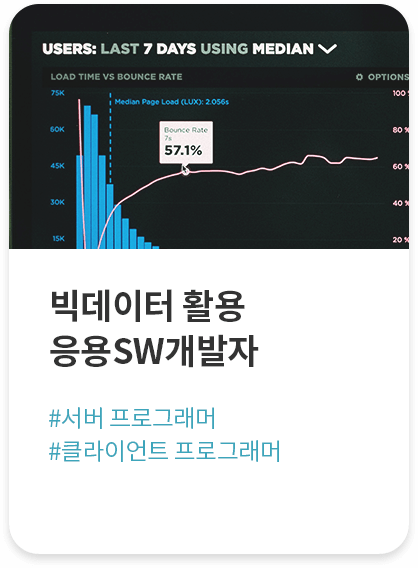 빅데이터 활용 응용SW개발자